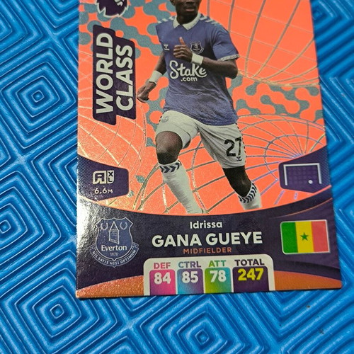 Panini Premier League collectible cards set of 5, like new