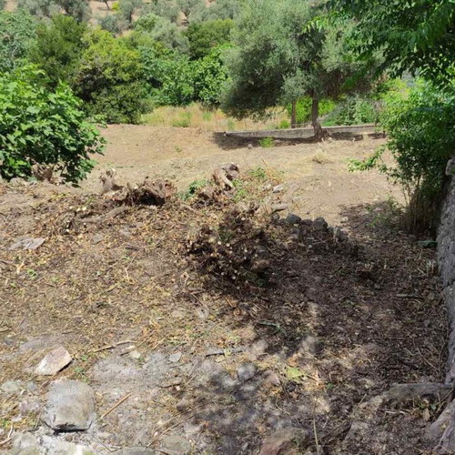 Land 520 sqm buildable plot in Mistegna, Lesvos region