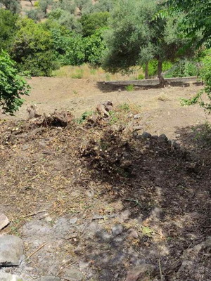Land 520 sqm buildable plot in Mistegna, Lesvos region