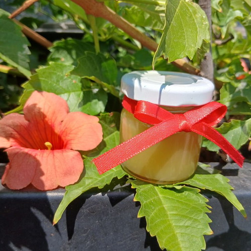 Homemade beeswax ointment with 100% beeswax