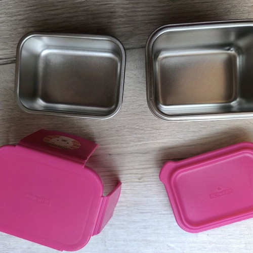 Skip Hop Zoo two-tier stainless steel food container used