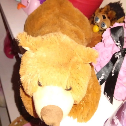 Arcturos plush bear like new