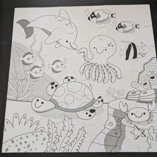 Sea-Themed Book Puzzle and Painting Set like new