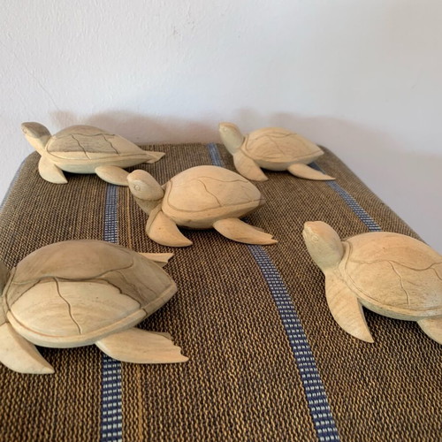 Decorative turtle handcarved from natural wood new