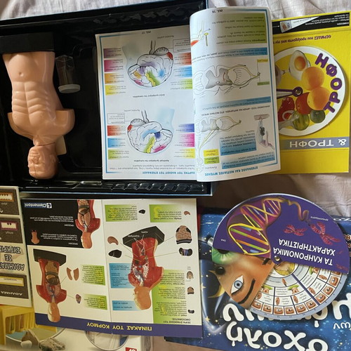 Human Body educational toy used with Chemistry and Magic School sets