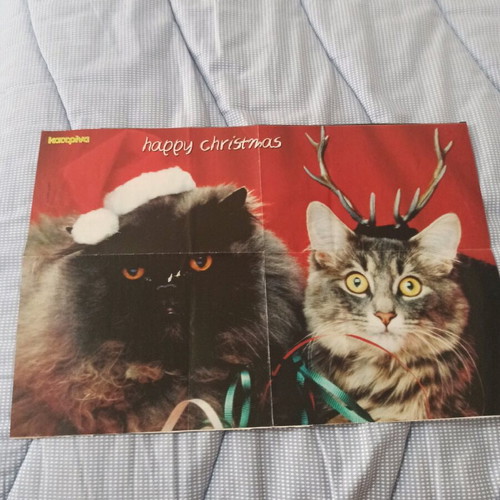 Selena Gomez Christmas poster used