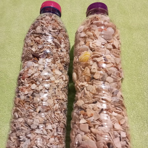 Natural Sea Mix for Crafts and Decoration like new