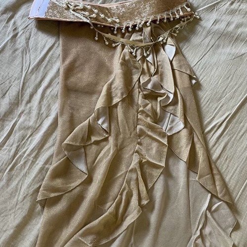 Oriental/Belly Dance Costume