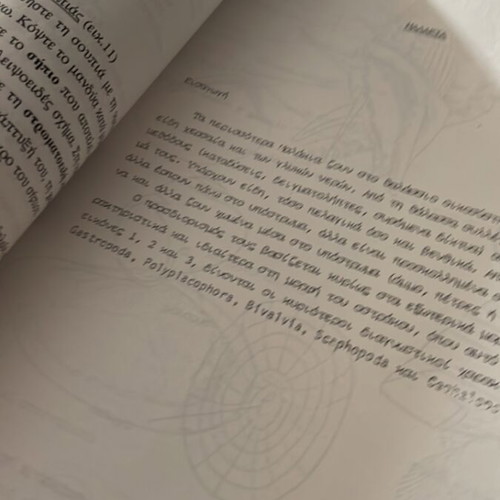 Morphology and Systematics of Invertebrates used, Greek