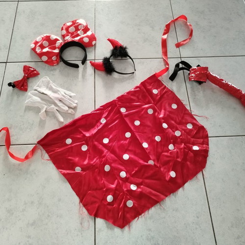 Carnival costume Diavolina used