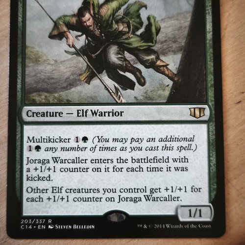 Joraga Warcaller Magic The Gathering TCG card used