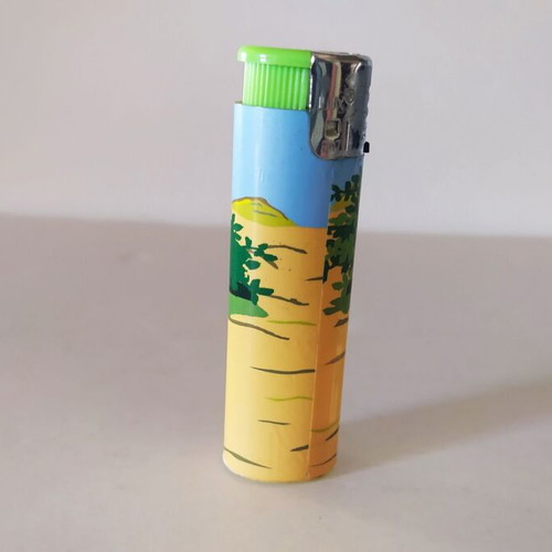 Giraffe lighter like new, plastic with window