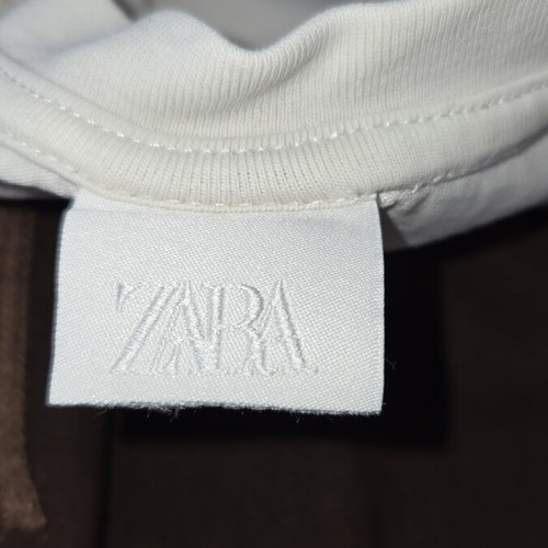 Zara T-shirt and dark brown culotte pants
