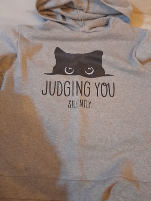 Children's grey hoodie with hood and fleece lining like new
