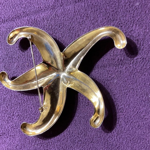 Pin in star shape with beautiful details
