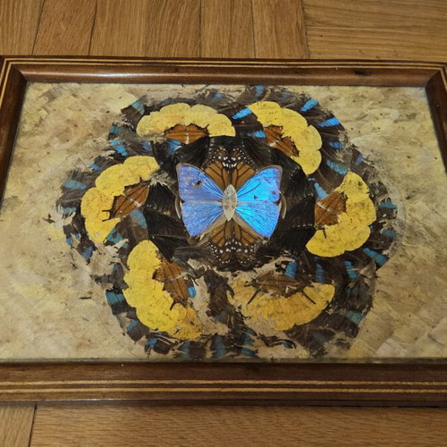 Serving tray with real butterfly wings used
