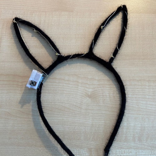 Carnival headbands with lights, crown and bunny ears