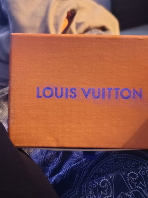 Louis Vuitton storage box new