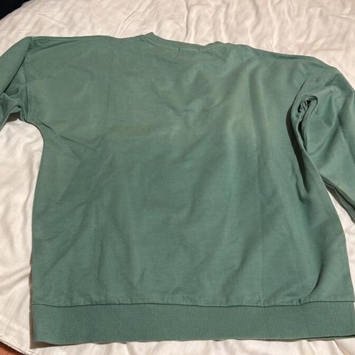 Pink Woman sweatshirt green XS like new with I Need More Space print