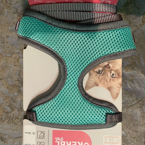 Cat collar with harness leash new