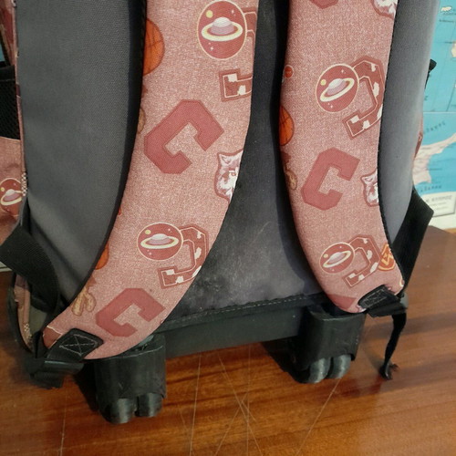 School backpack with wheels used
