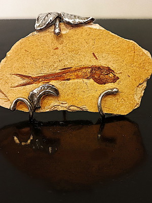 Απολίθωμα ψαριού σαν καινούργιο σε βάση ασήμι 925