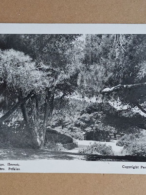 Postcard "Ξυλόκαστρο Πευκιάς" used, black and white