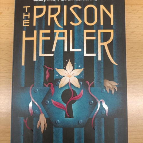 The Prison Healer book used, English fantasy young adult
