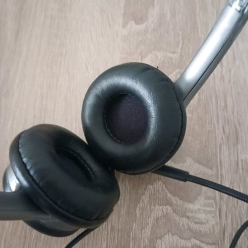Genius wired headphones used with microphone