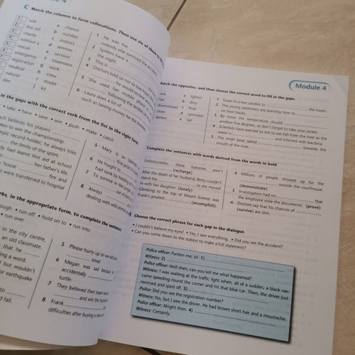 Companion Spark 4 book new, English