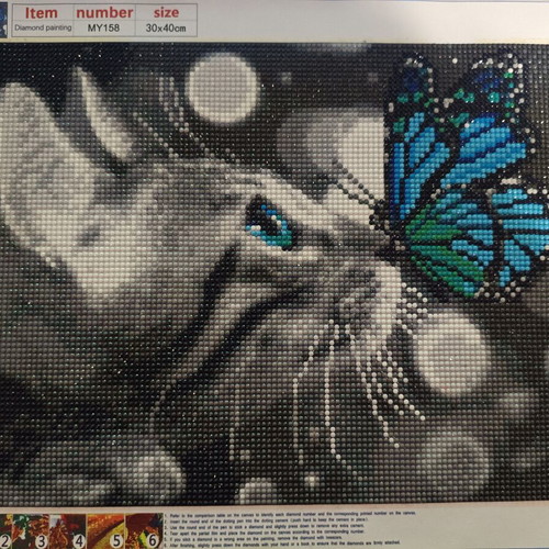 Diamond painting Cat with butterfly like new complete canvas