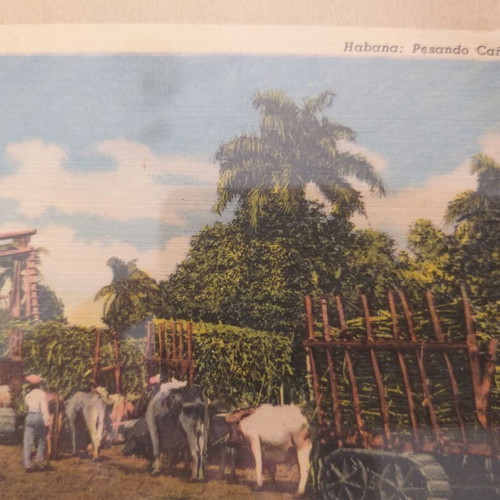 Framed print with vintage sugar cane weighing image in Havana used