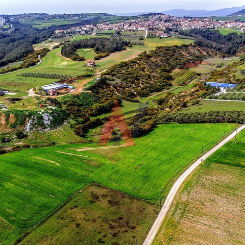 Buildable agricultural land 15,000 m² in Scholari Thessaloniki
