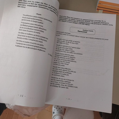 Lyceum Grade C Essay Workbook used with literary exercises
