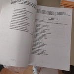 Lyceum Grade C Essay Workbook used with literary exercises