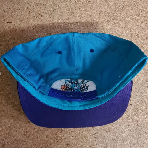 NBA Charlotte Hornets cap new jockey with adjustable snapback