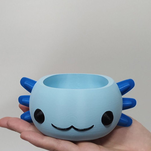 Axolotl planter new for small plants and succulents 3D printed