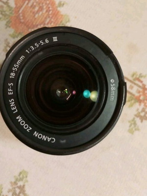 Canon EF-S 18-55mm f/3.5-5.6 lens used