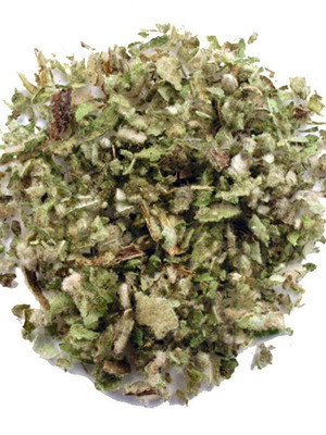 Verbascum leaf new for therapeutic uses