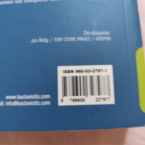Ethical Labyrinths by Robert Jackall like new, ethics in business