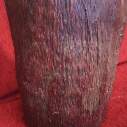 Christ image on tree trunk like new