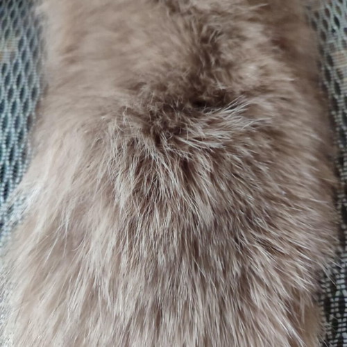 Fur collar new Marco Gianotti, dyed fox fur, 15 x 90 cm