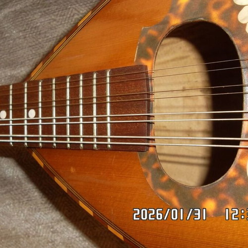 Italian Mandolin used with waterproof case and pickup