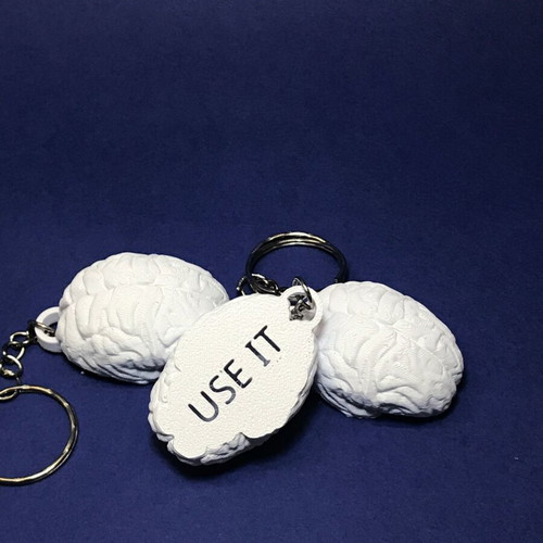 Brain Use It 3D Printed Keychain New