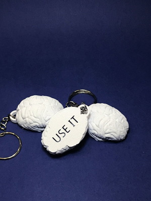 Brain Use It 3D Printed Keychain New