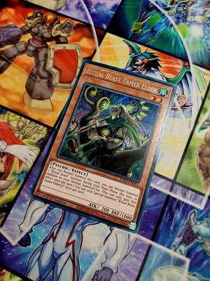Ritual Beast Tamer Elder RA03 Secret Rare Yu-Gi-Oh! card