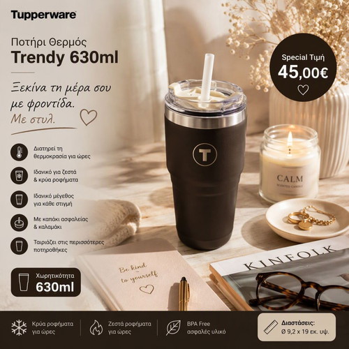 Tupperware Trendy 630ml Thermos Cup new, anthracite color