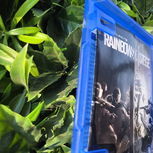 Tom Clancy's Rainbow Six Siege PS4 game
