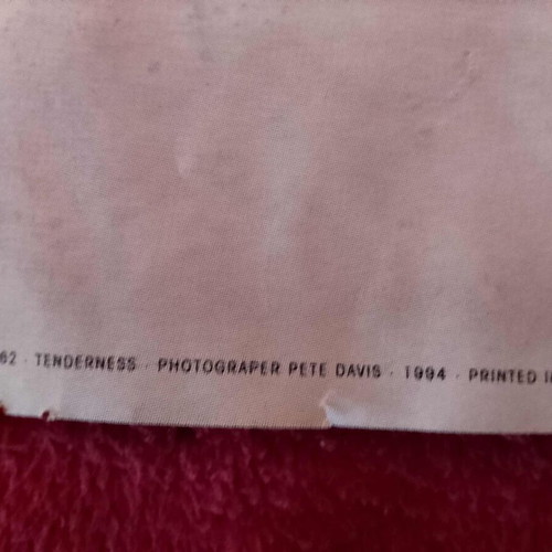 Photogrper-Pete Davis 1994 collectible poster used, 90x62 in, Spain
