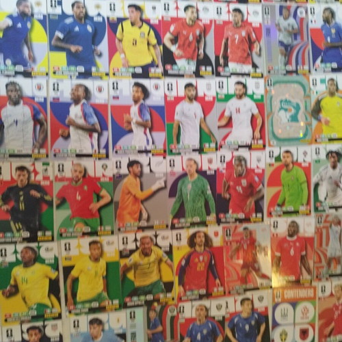 Panini FIFA World Cup 2026 Cards, 79 Single Pieces New
